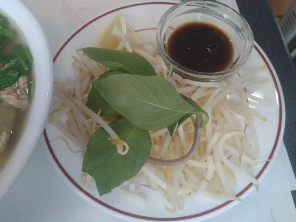 Accompagnement de la Soupe Pho